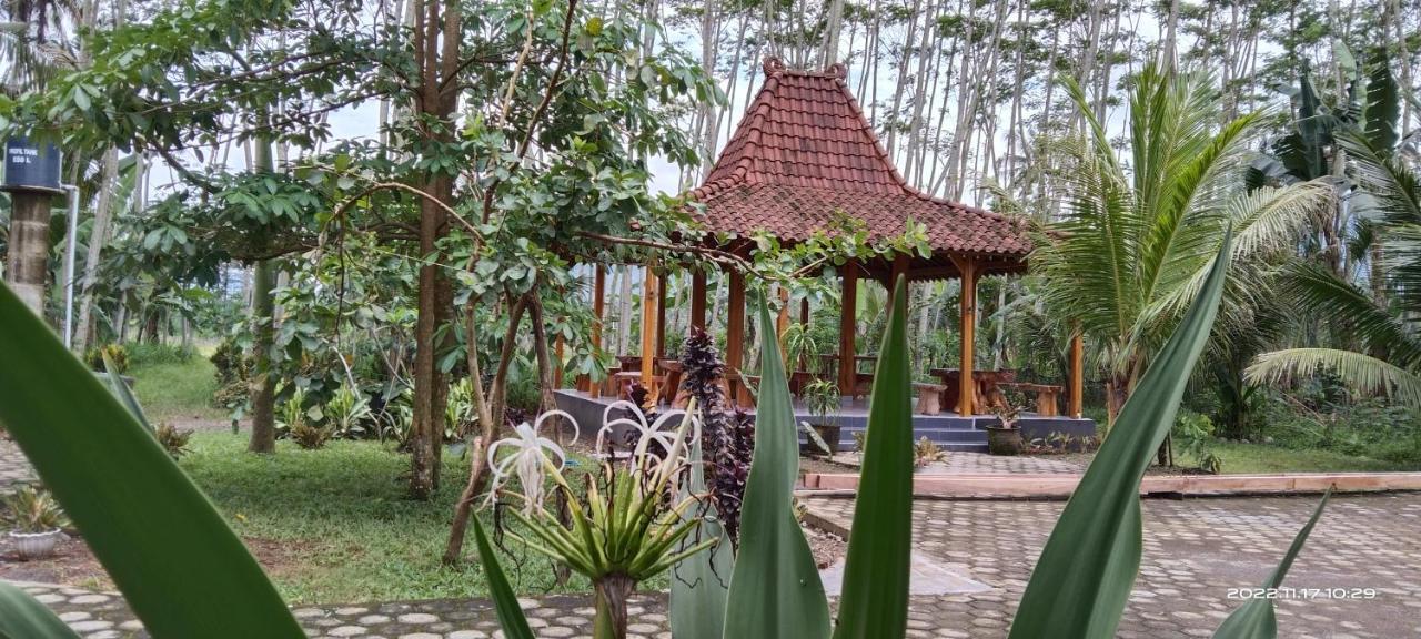 Adventure Turtle Homestay Meru Betiri Sarungan Ngoại thất bức ảnh