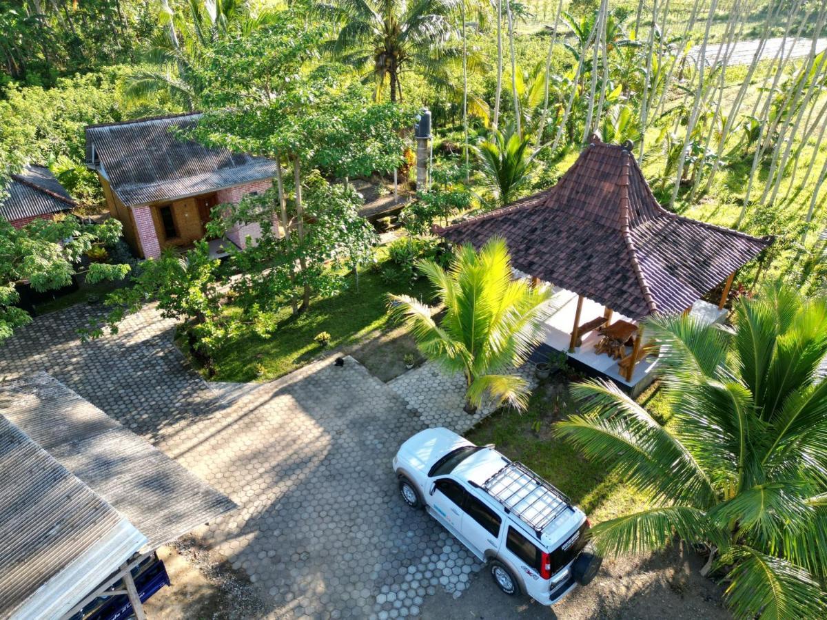 Adventure Turtle Homestay Meru Betiri Sarungan Ngoại thất bức ảnh